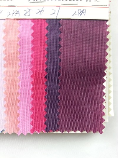 DG-BICG BC-420D 洗水尼龍布  背囊面料 細節-3